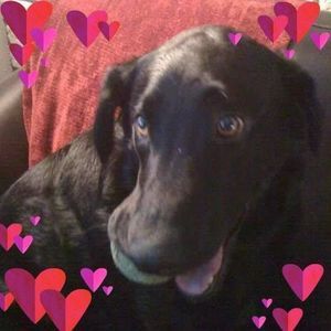 Meet your Posher, Bernadette